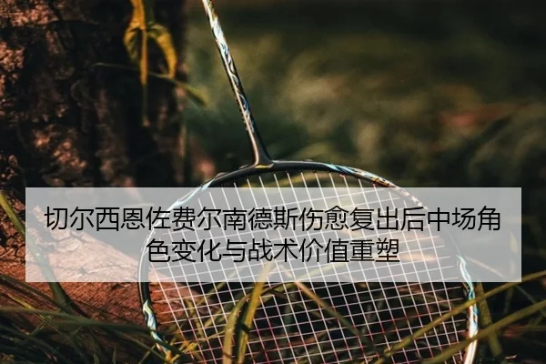 切尔西恩佐费尔南德斯伤愈复出后中场角色变化与战术价值重塑